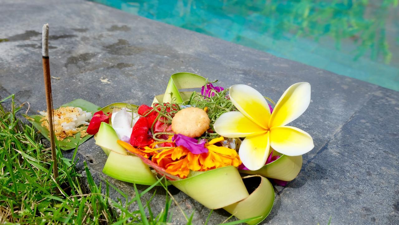 Wiki Bali Hotel Ubud  Luaran gambar