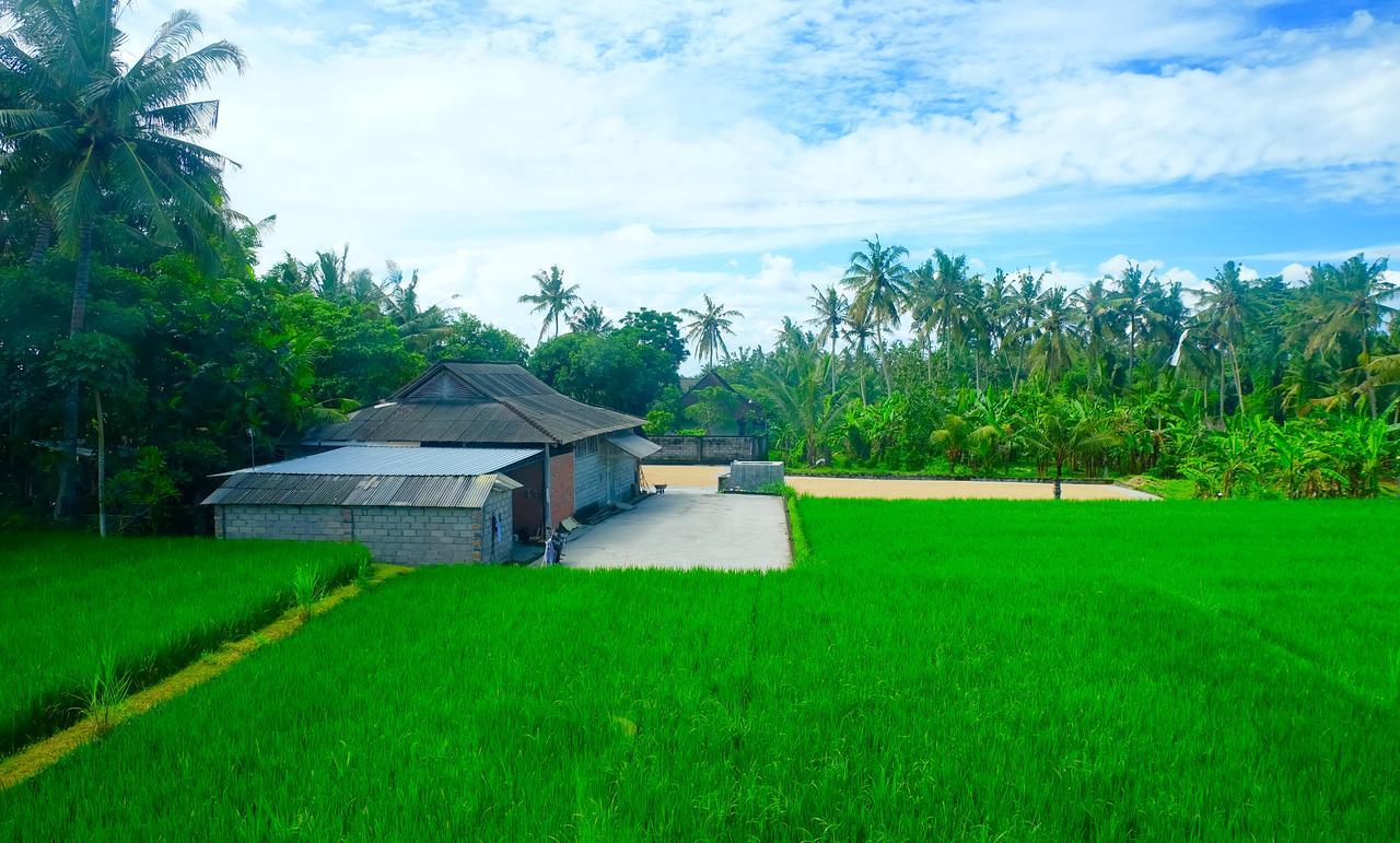 Wiki Bali Hotel Ubud  Luaran gambar