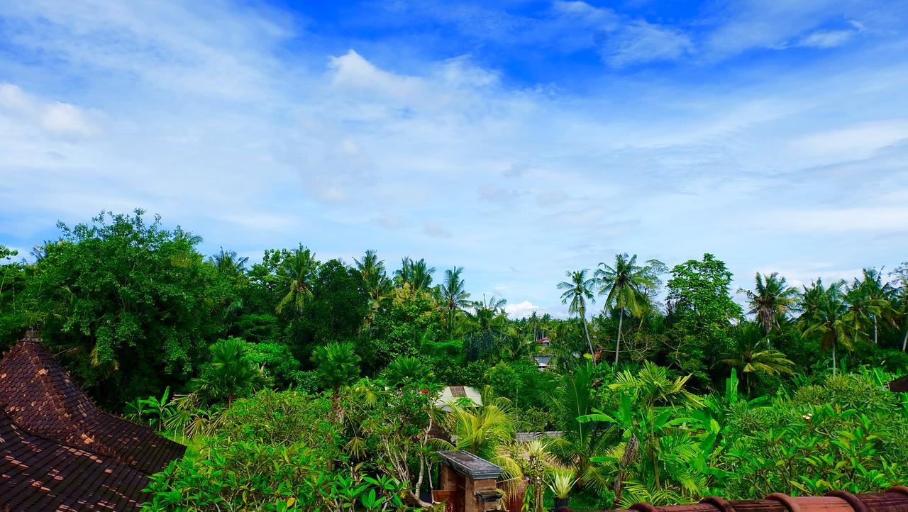 Wiki Bali Hotel Ubud  Luaran gambar