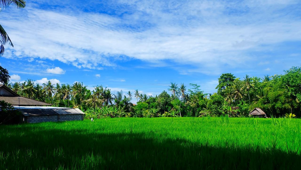 Wiki Bali Hotel Ubud  Luaran gambar